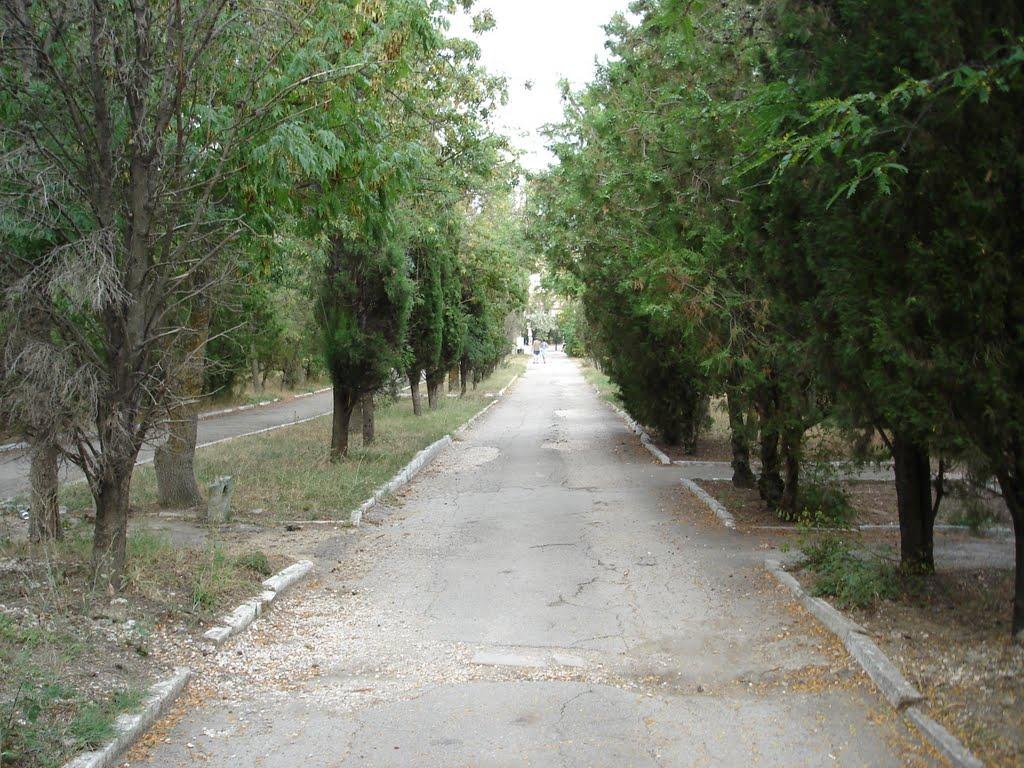 Коктебель з panoramio.com (ч.3) - Koktebel