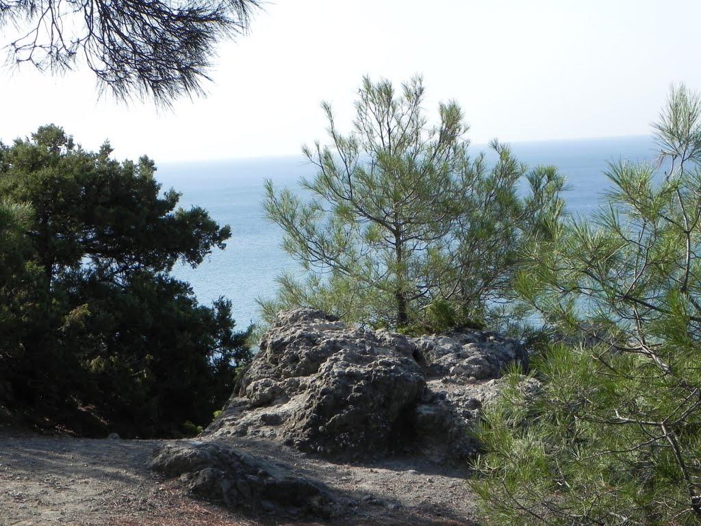 Новий Світ з panoramio.com (ч.4) - Новий Світ