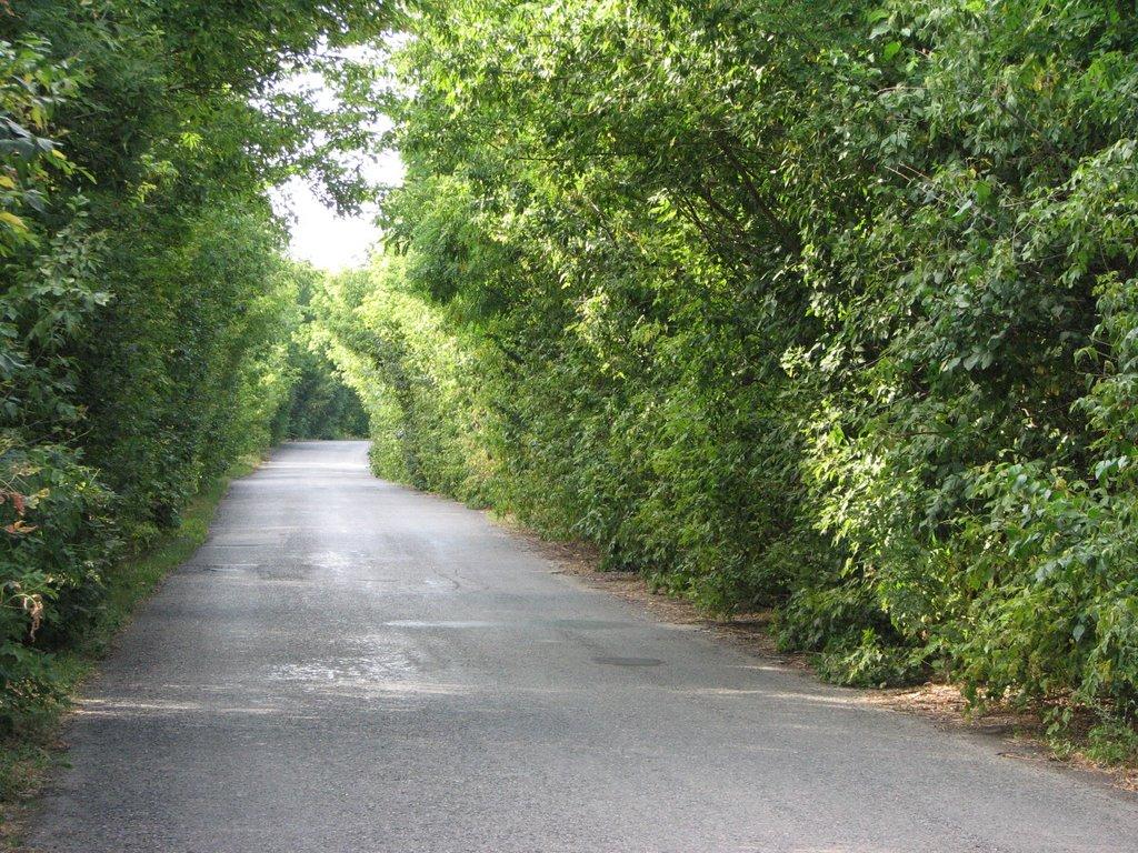 Висачки з panoramio.com - Висачки