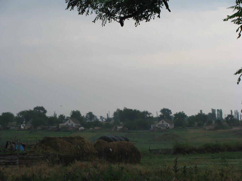 Нова Кам'янка з panoramio.com - Нова Кам'янка