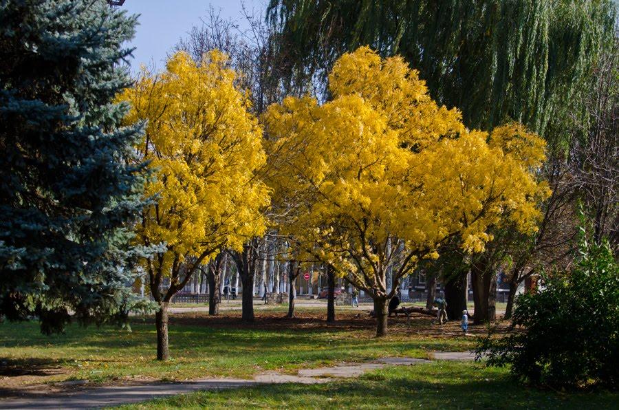 Краматорськ з panoramio.com (ч.3) - Краматорск
