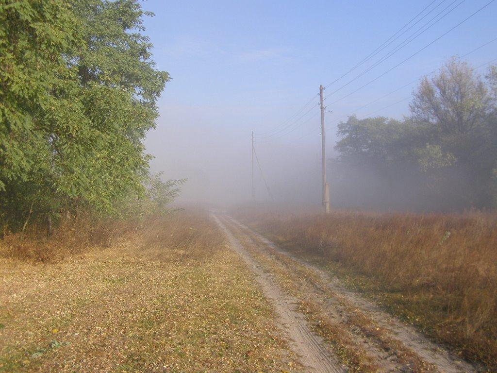 Туманська Гута з panoramio.com - Туманська Гута