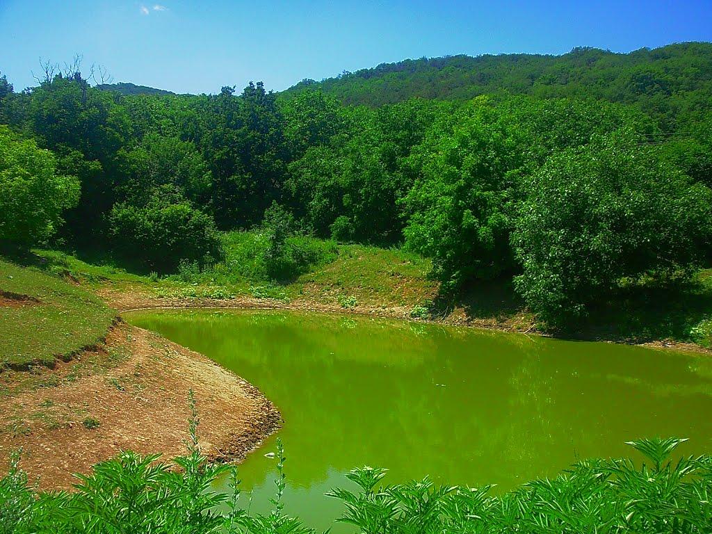 Краснолісся з panoramio.com - Краснолісся