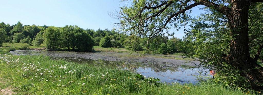 Теребежі з panoramio.com - Теребежі