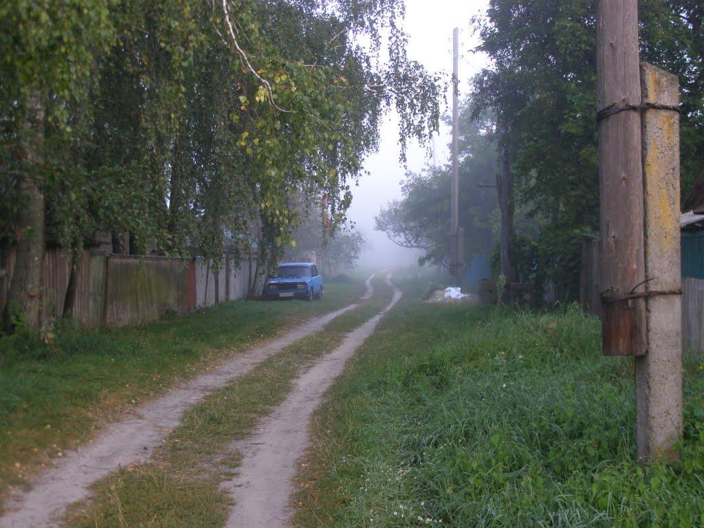 Бабарики з panoramio.com - Бабарики