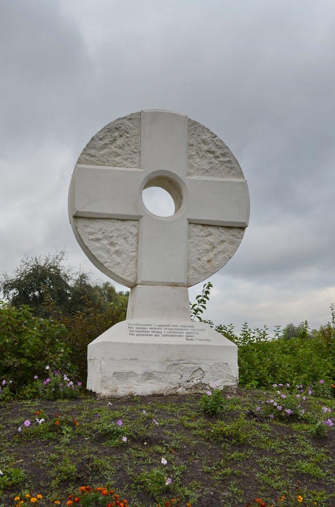 Андріївка з panoramio.com - Андріївка