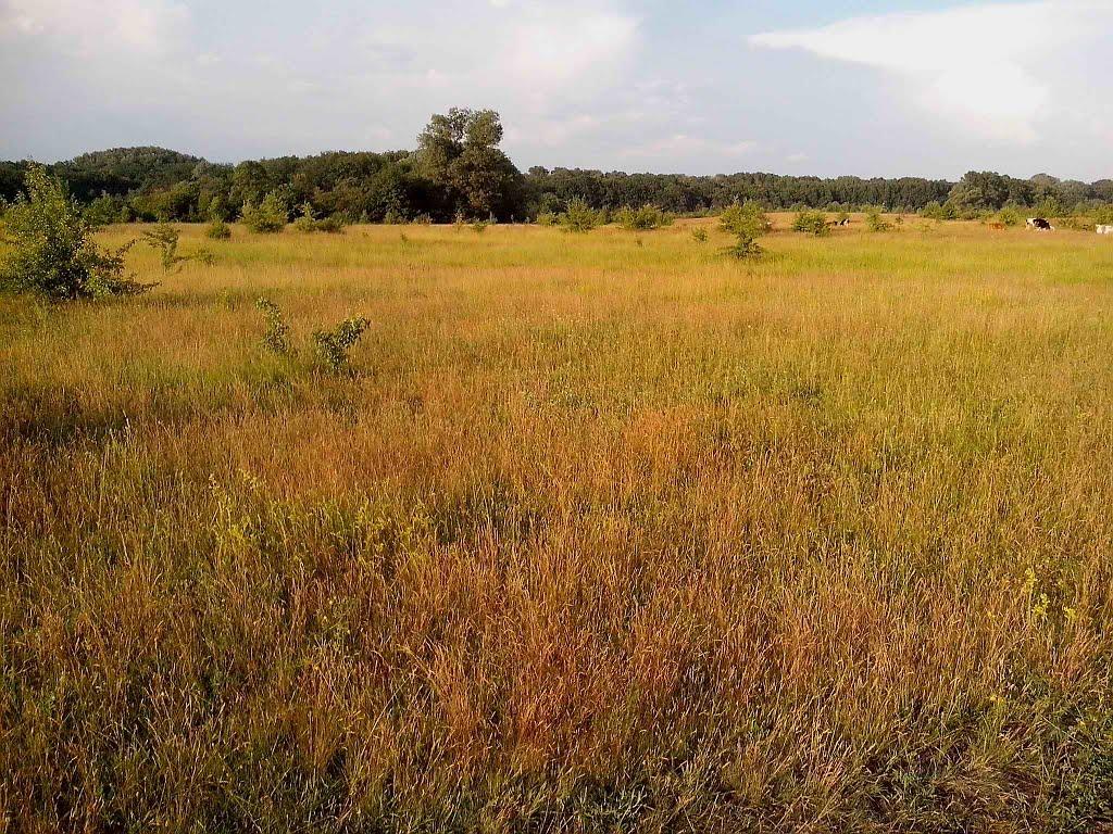 Юрки з panoramio.com - Юрки