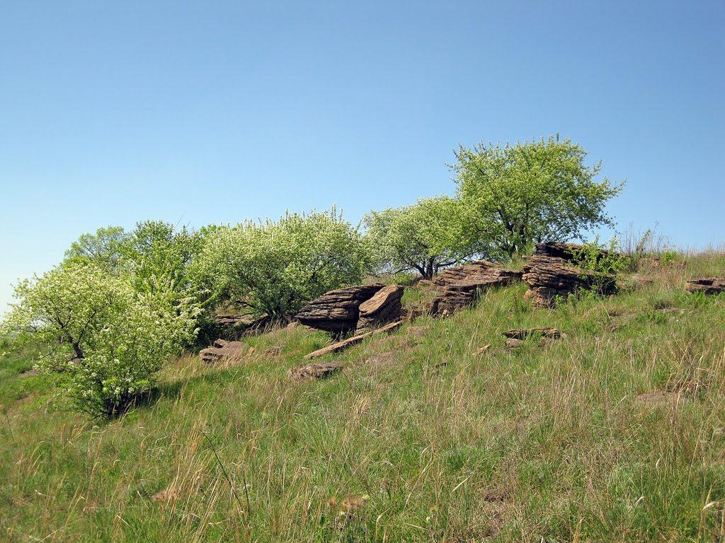 Селезнівка з panoramio.com - Селезнівка
