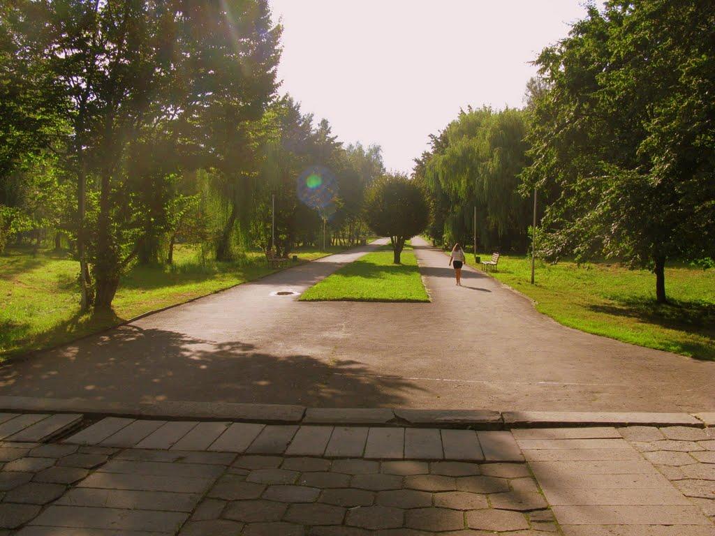 Петриків з panoramio.com (ч.2) - Петриків