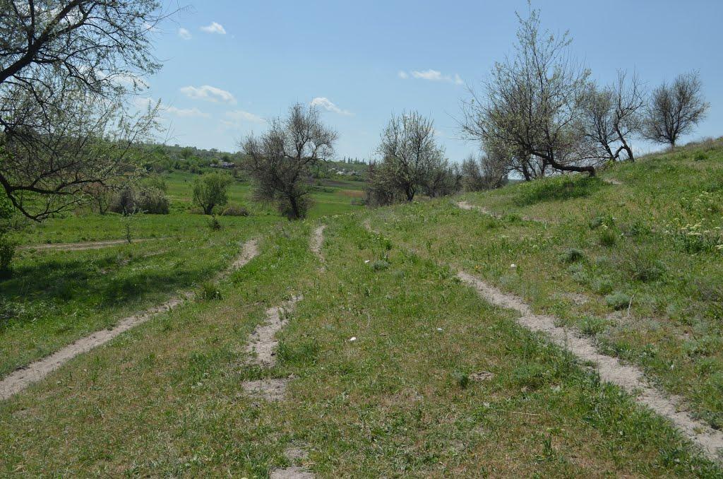 Білокузьминівка з panoramio.com - Білокузьминівка