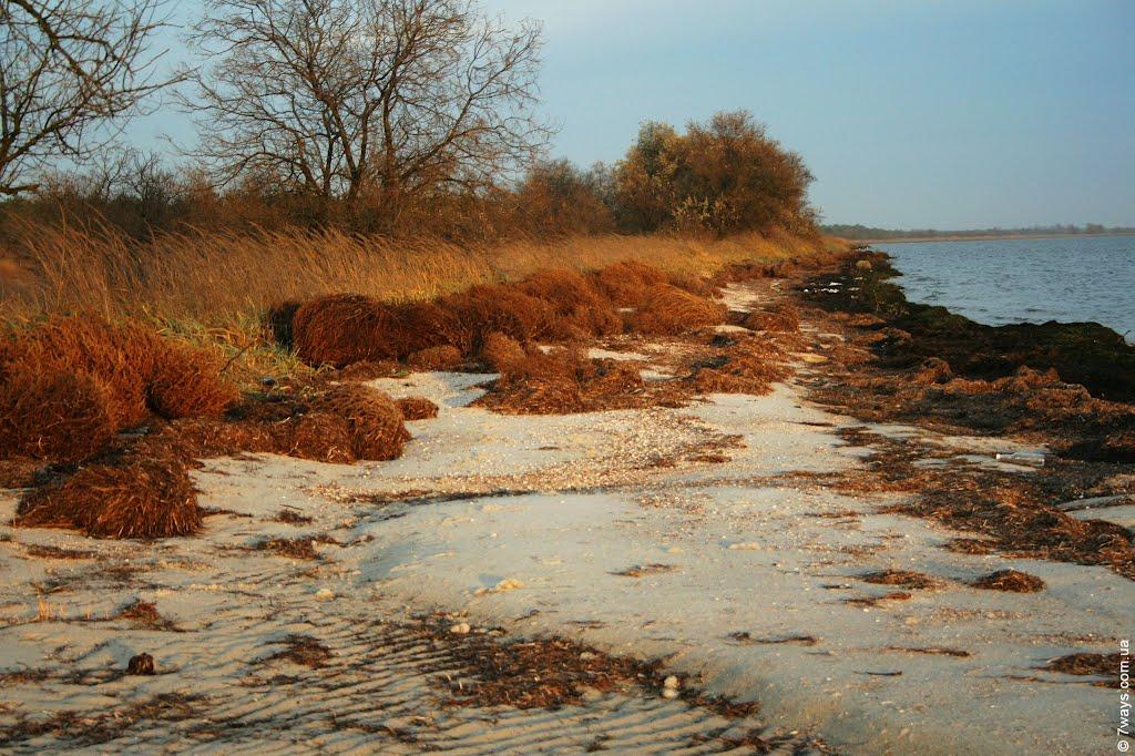 Покровка з panoramio.com - Покровка