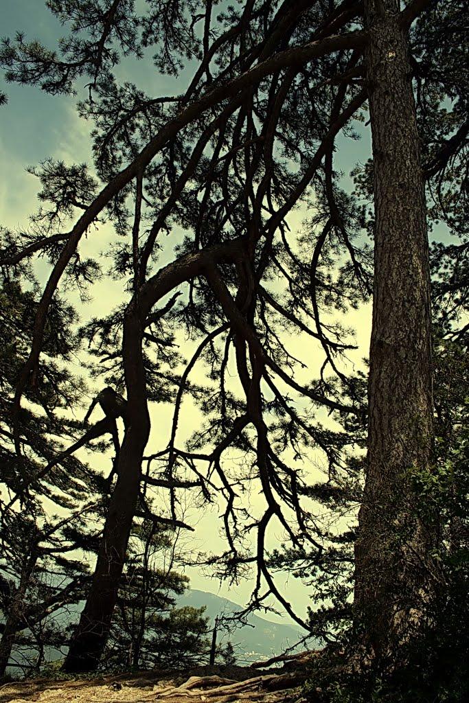 Оползневе з panoramio.com - Оползневе