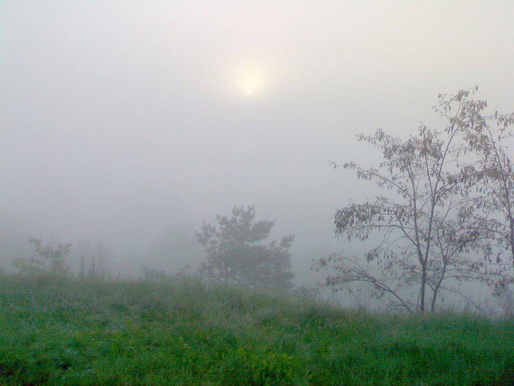 Мохнач з panoramio.com - Мохнач