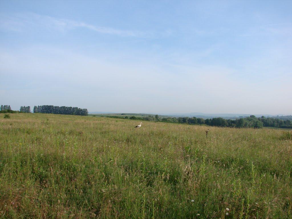 Передільниця з panoramio.com - Передільниця