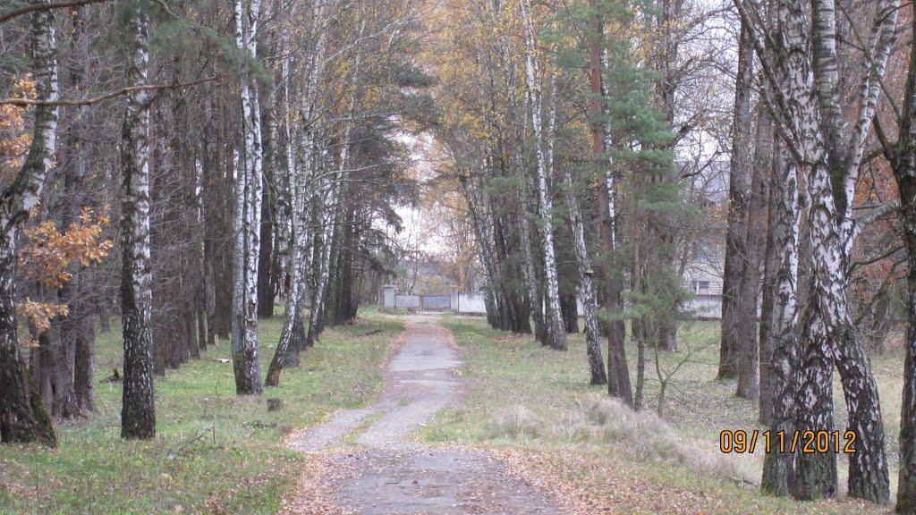 Воля-Старицька з panoramio.com - Воля-Старицька