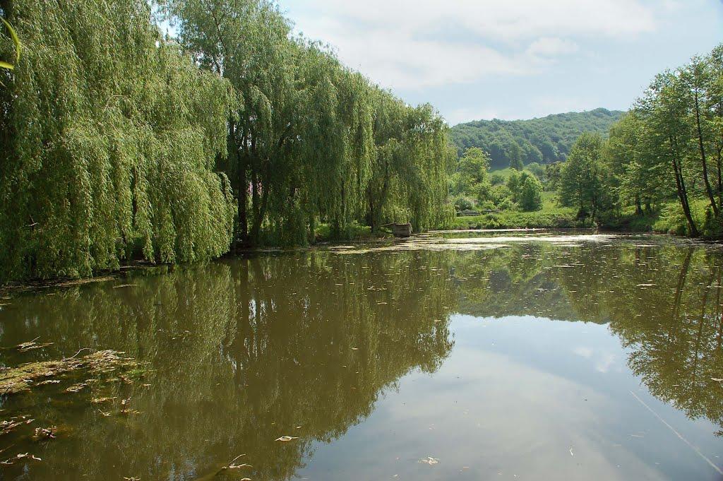Велика Вільшаниця з panoramio.com - Велика Вільшаниця