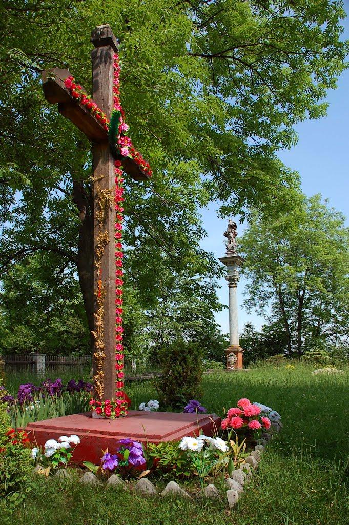 Велика Вільшаниця з panoramio.com - Велика Вільшаниця