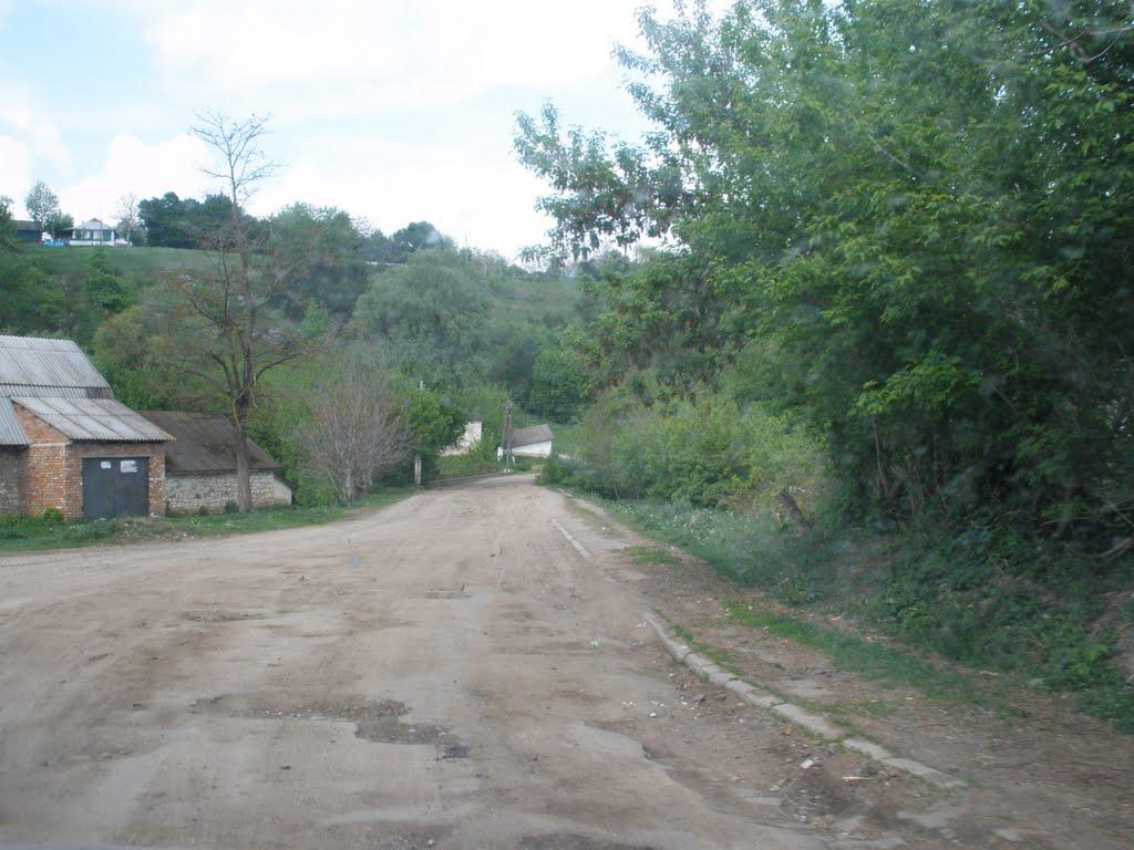 Володіївці з panoramio.com - Володіївці