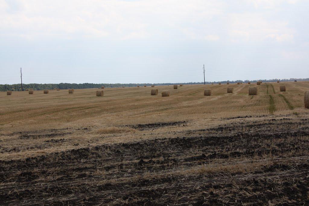 Веселий Хутір з panoramio.com - Веселий Хутір
