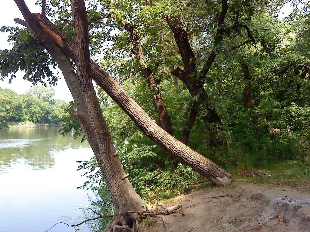 Райгородок з panoramio.com - Райгородок