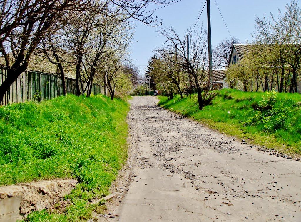 Гудзівка з panoramio.com - Гудзовка