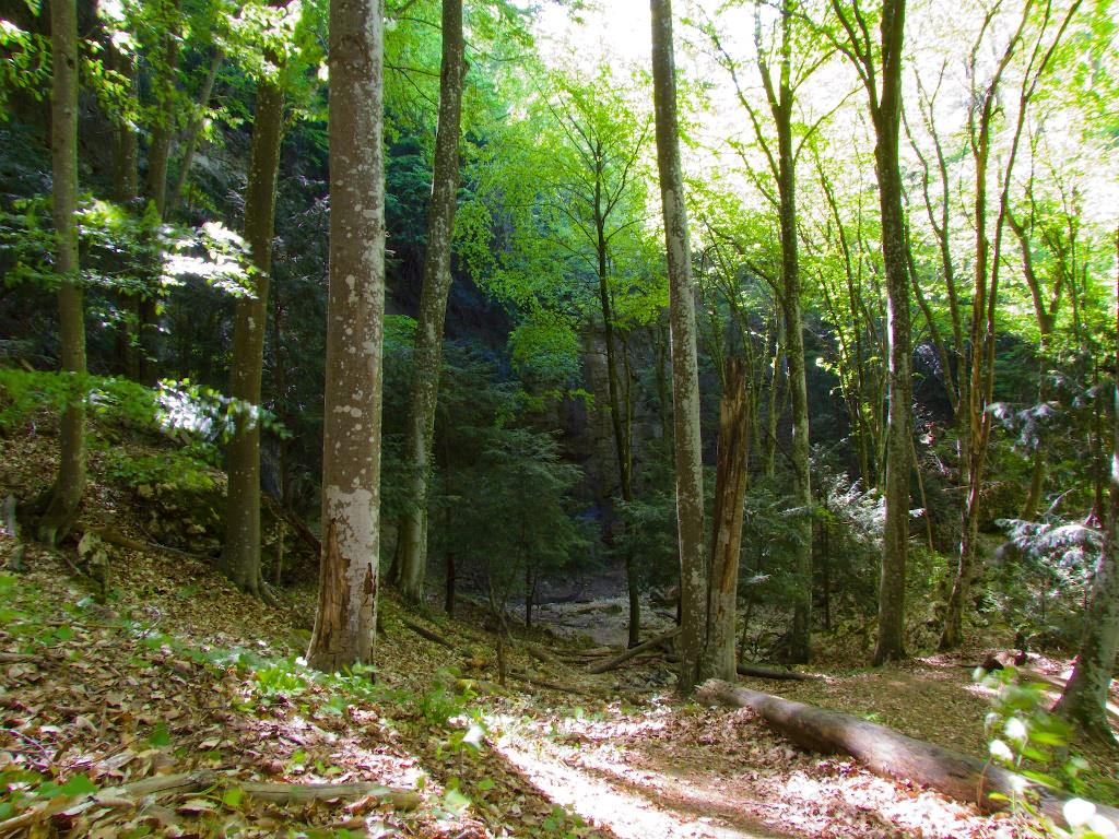 Багата Ущелина з panoramio.com - Багата Ущелина
