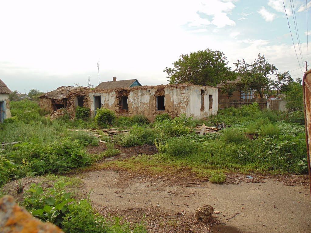 Новотимофіївка з panoramio.com - Новотимофіївка