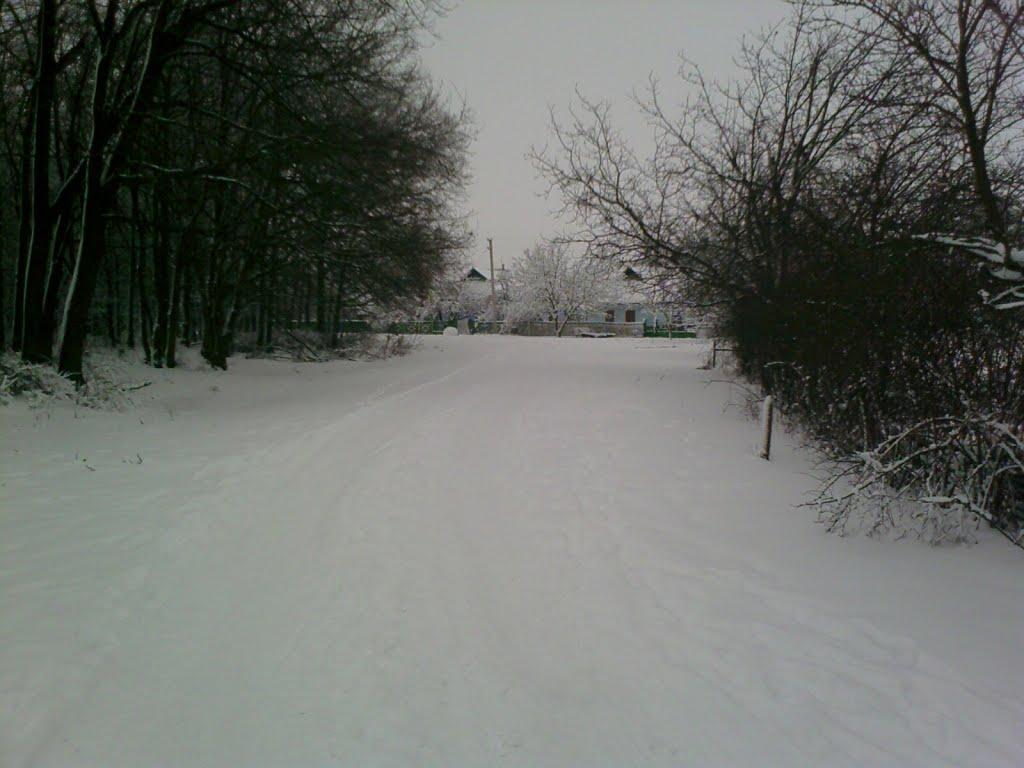 Городище з panoramio.com - Городище