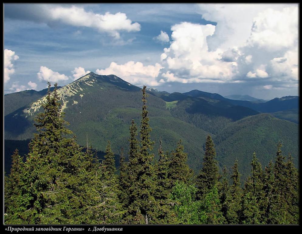 Паляниця з panoramio.com (ч.4) - Паляниця