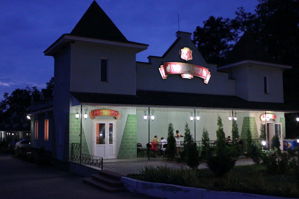 Нова Осота з panoramio.com - Нова Осота