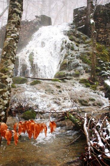 Соколине з panoramio.com (ч.2) - Соколиное