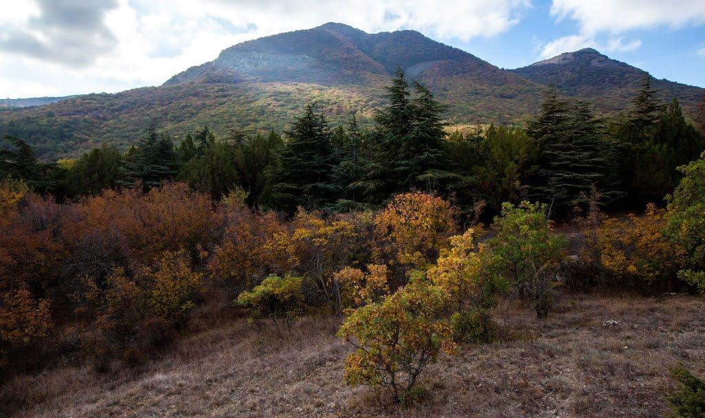 Коктебель з panoramio.com (ч.3) - Коктебель