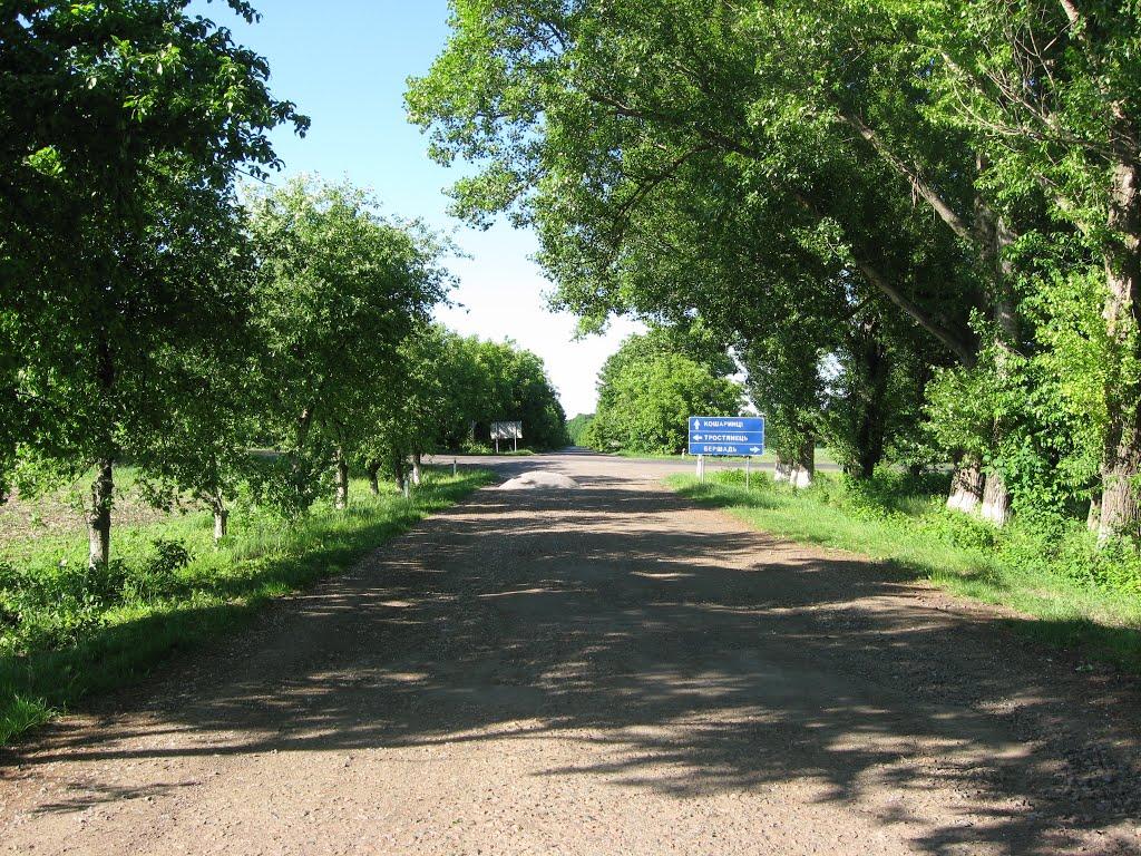 Баланівка з panoramio.com - Баланівка