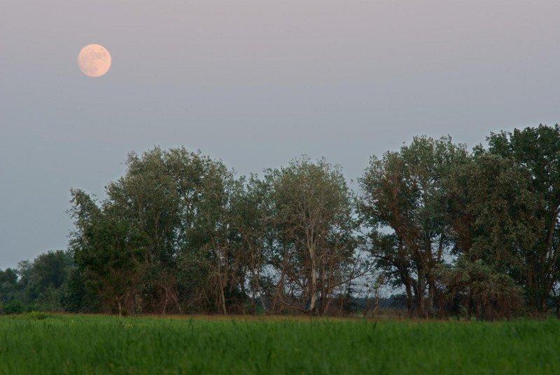 Плавещина з panoramio.com - Плавещина