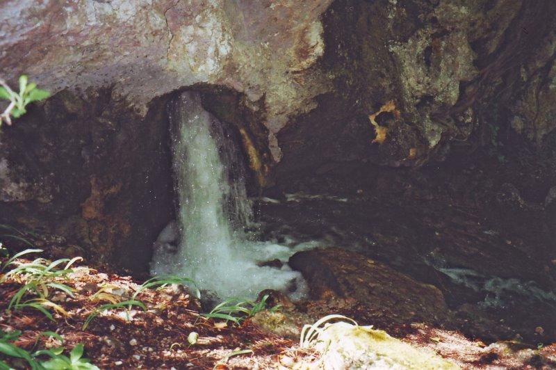 Виноградне з panoramio.com - Виноградное