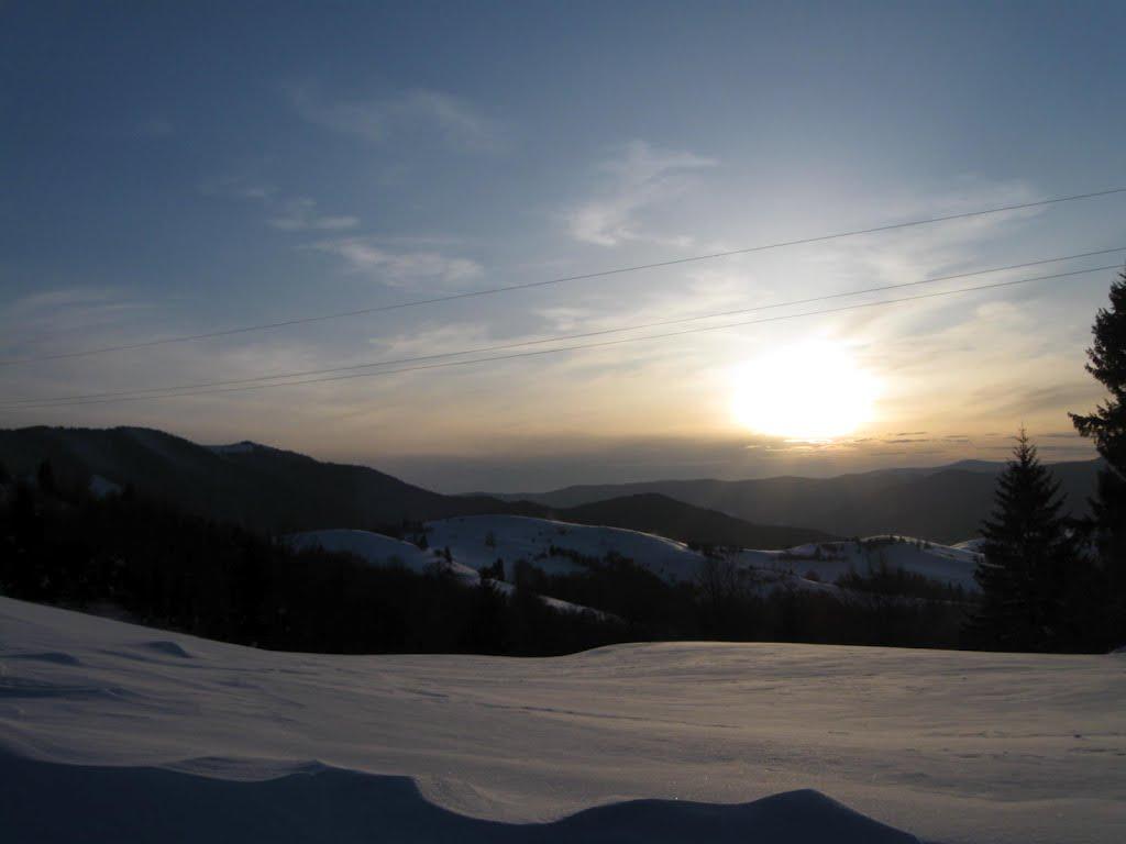 Стригальня з panoramio.com - Стригальня