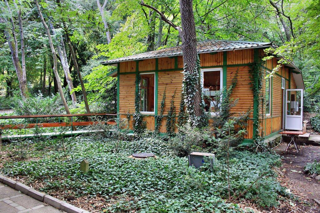 Нікіта з panoramio.com (ч.2) - Nikita