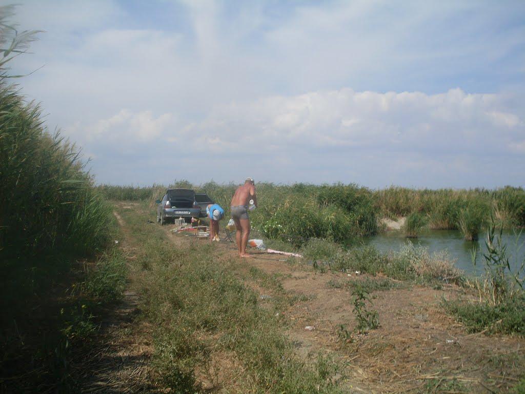 Рисове з panoramio.com - Рисовое