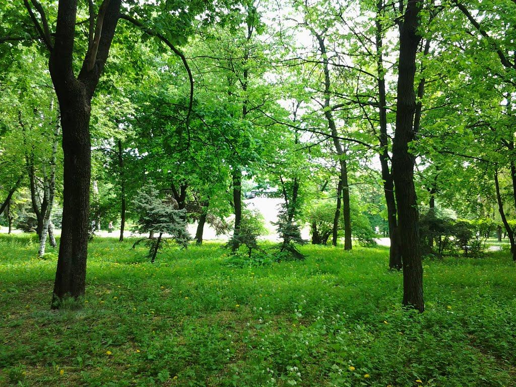 Горлівка з panoramio.com (ч.7) - Горловка