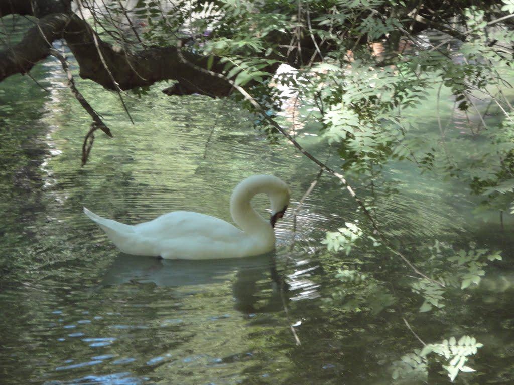 Кореїз з panoramio.com (ч.2) - Кореїз