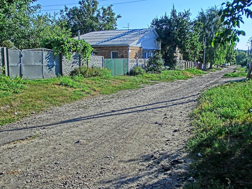 Олександрія з panoramio.com (ч.3) - Olexandria
