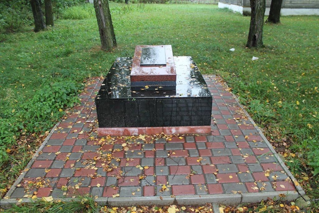 Велике Поле з panoramio.com - Велике Поле