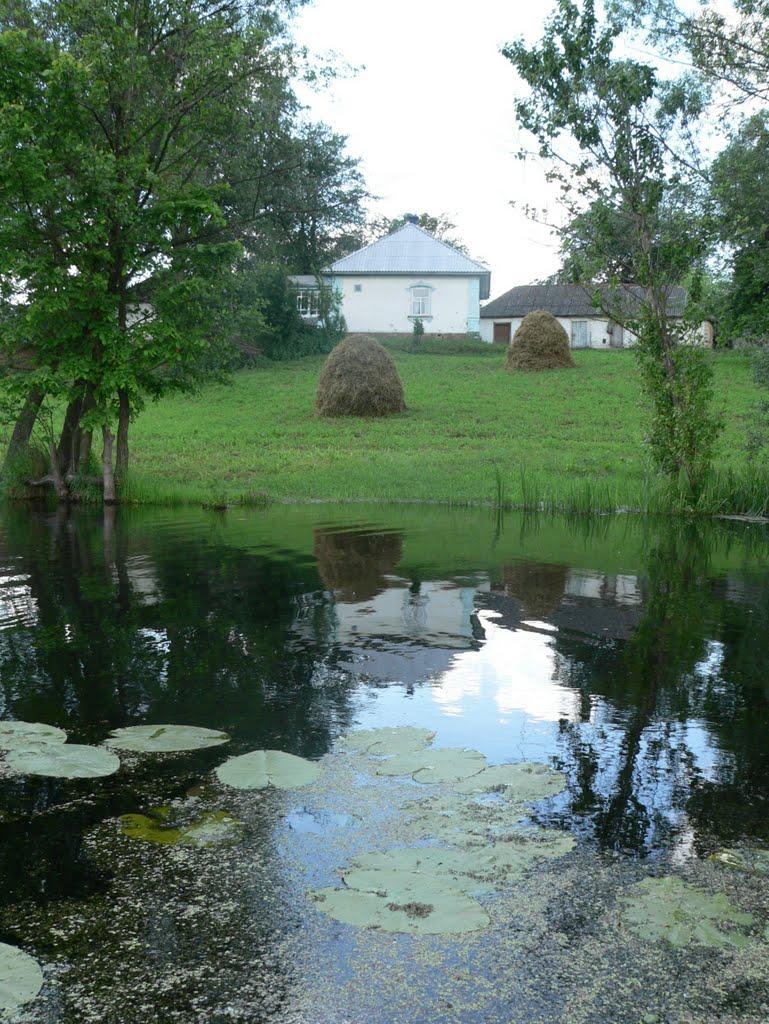 Гнатівка з panoramio.com - Гнатовка