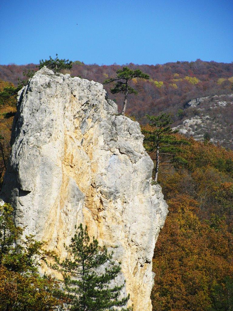 Соколине з panoramio.com (ч.2) - Соколиное