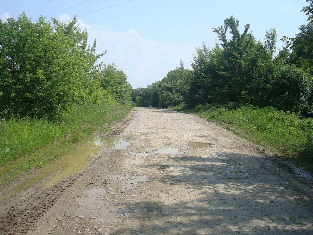 Копистин з panoramio.com - Копистин