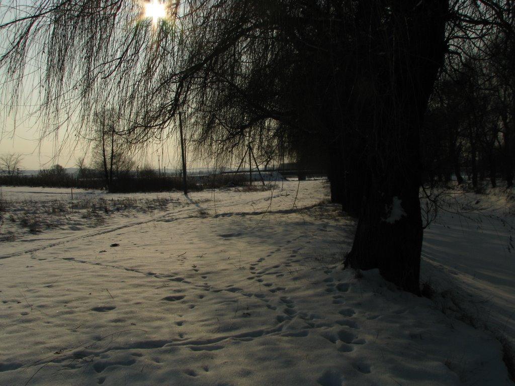 Мліїв з panoramio.com - Млиев