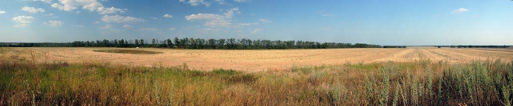 Новосолдатське з panoramio.com - Новосолдатское