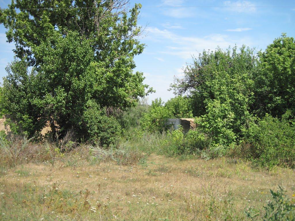 Григорівка з panoramio.com - Григорівка