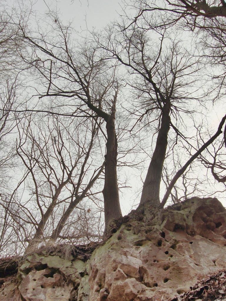 Луганськ з panoramio.com (ч.7) - Луганск