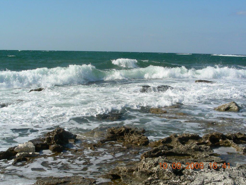 Новосільське з panoramio.com - Новосільське